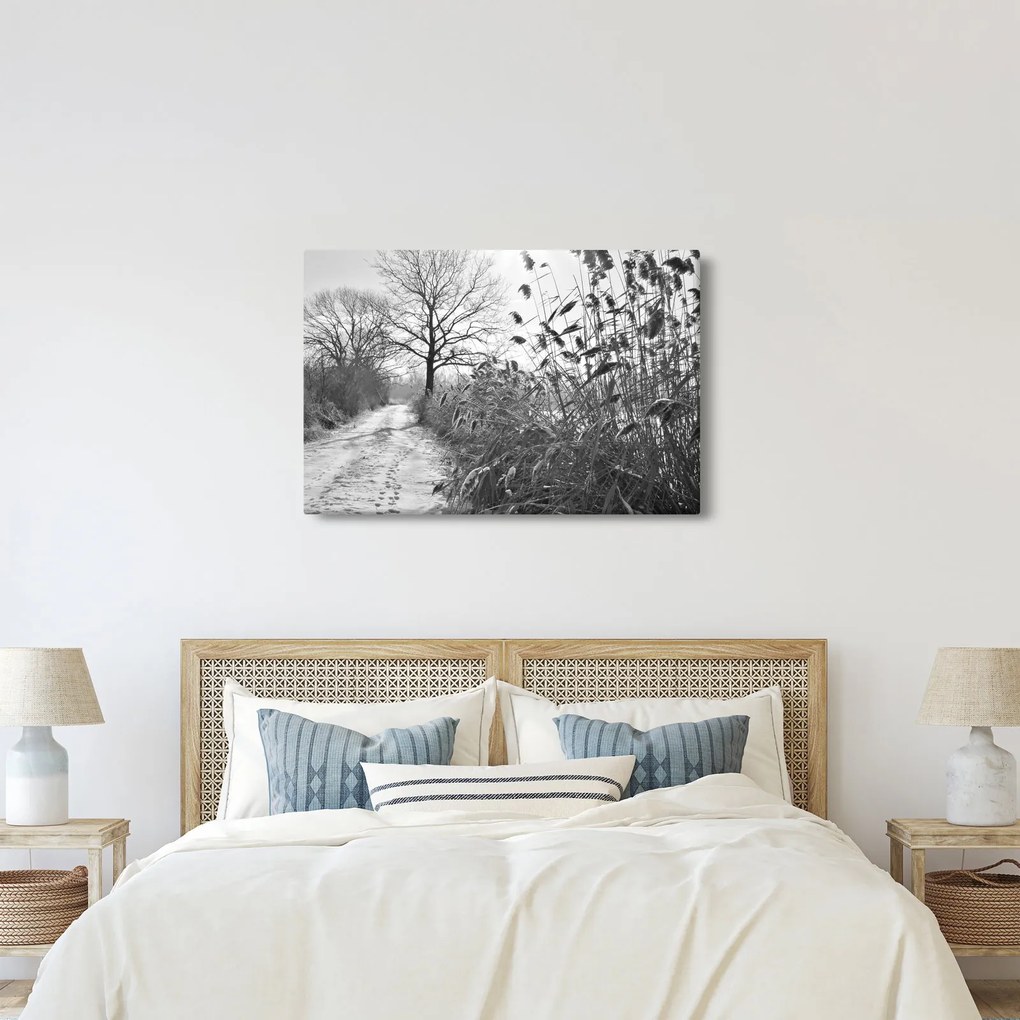 Obraz - Pole v zime (90x60 cm)