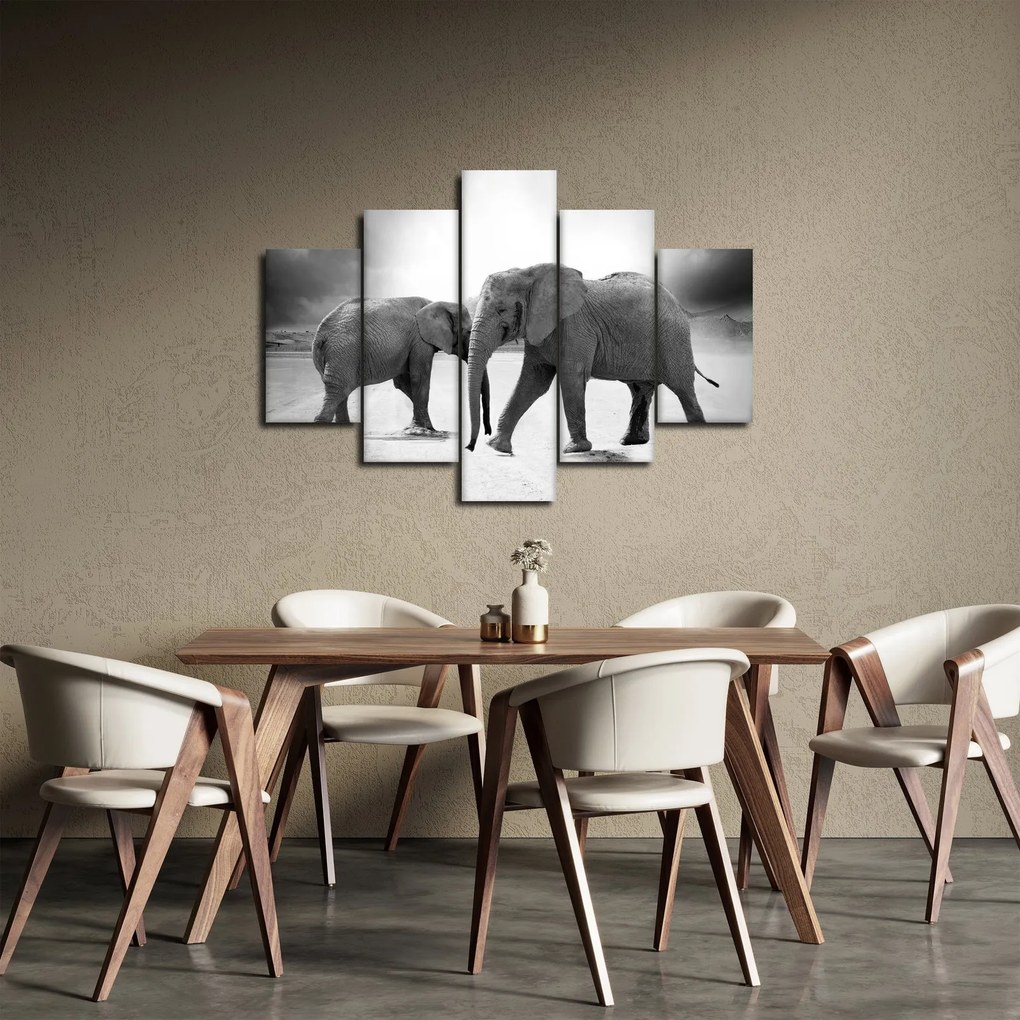 Obraz - čiernobiele slony (150x105 cm)
