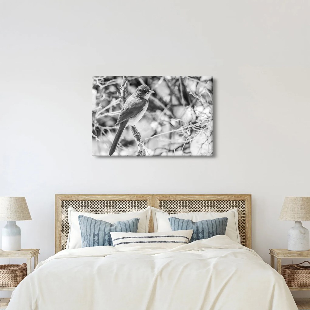 Obraz - Modrý vták v zime (90x60 cm)