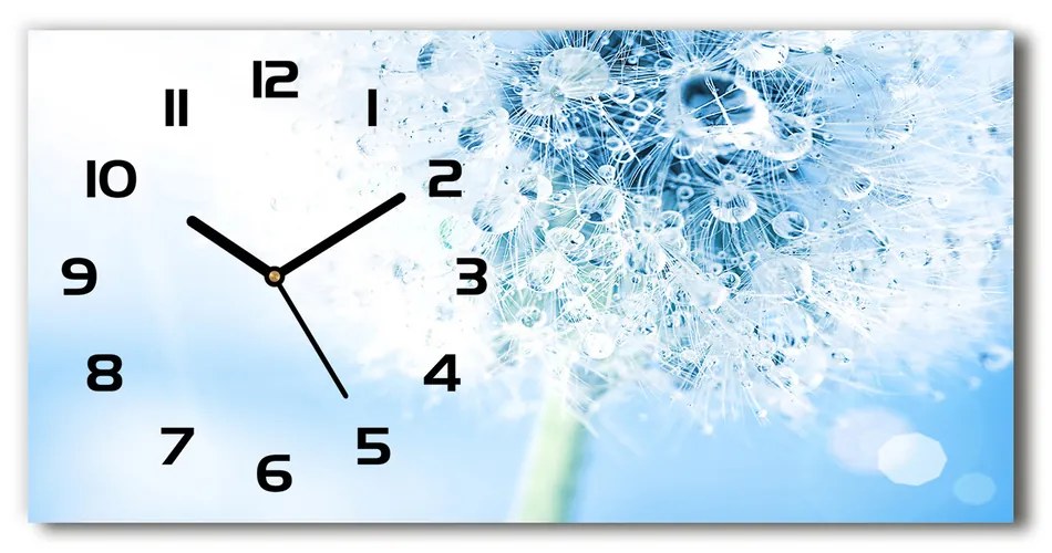 Vodorovné Moderné sklenené hodiny na stenu Púpava pl_zsp_60x30_f_87595750