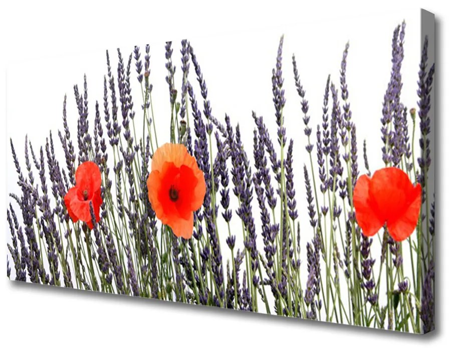 Obraz Canvas Kvety maky pole trávy 125x50 cm