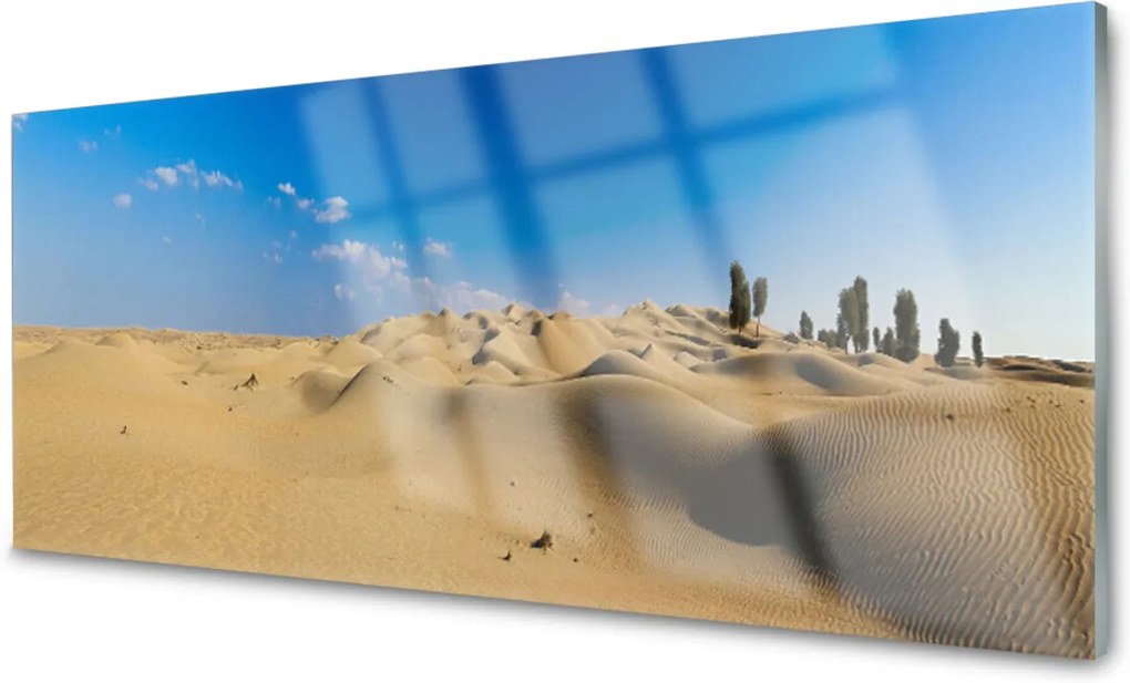 Obraz na skle púšť Krajina