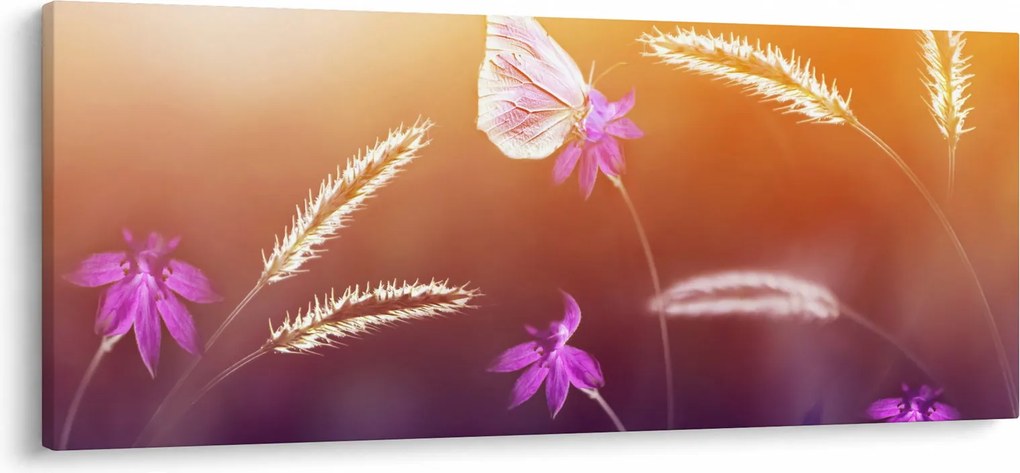 Obraz - Ružový motýľ (120x50 cm)