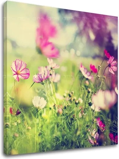 Obraz na stenu RUŽOVÉ KVETY_165-12