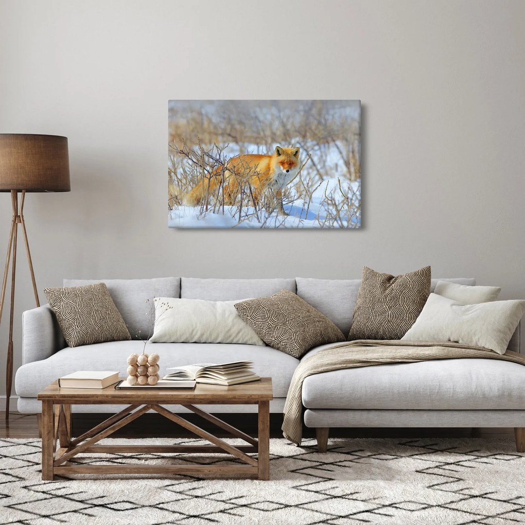 Obraz - Lišiak (90x60 cm)