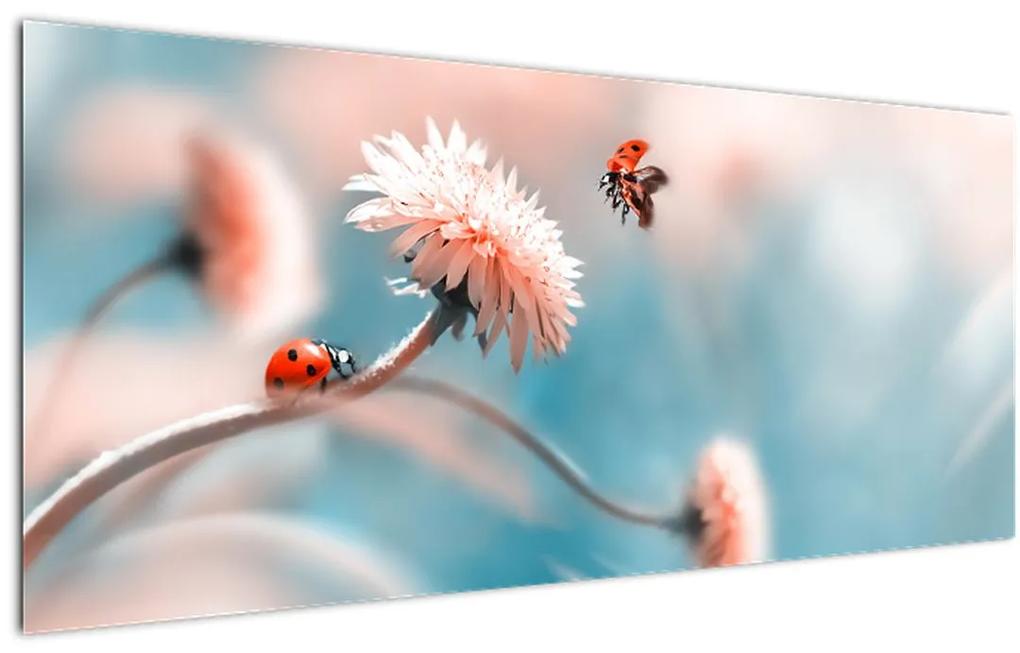 Obraz - Lienky na kvete (120x50 cm)