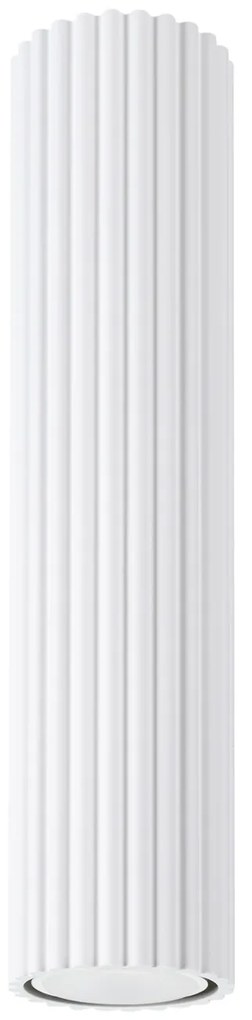 Stropné svietidlo Karbon, 1x biele kovové tienidlo, (30 cm)