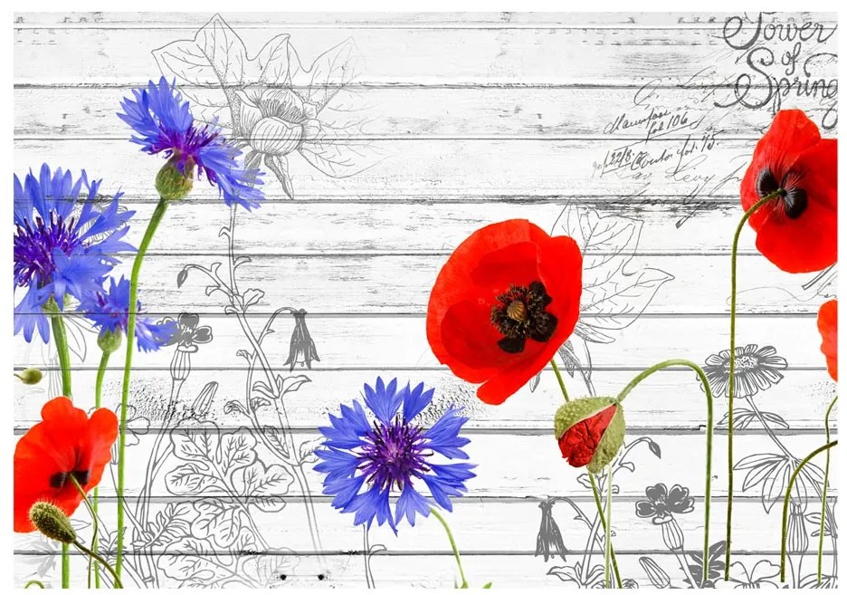 Artgeist Fototapeta - Wildflowers Veľkosť: 400x280, Verzia: Standard