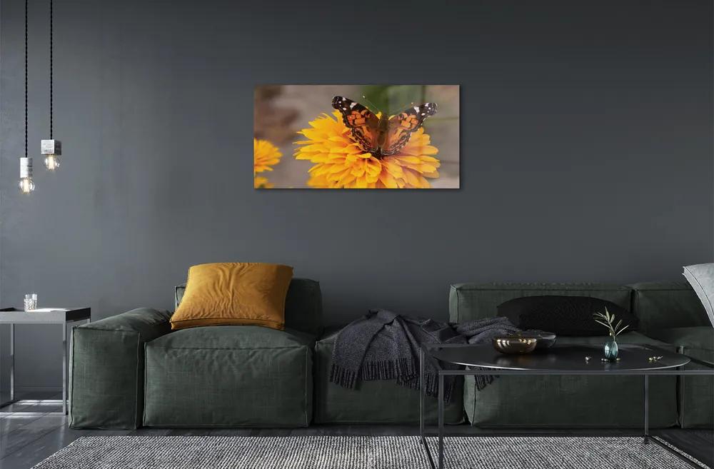 Sklenený obraz Farebný motýľ kvetina 100x50 cm
