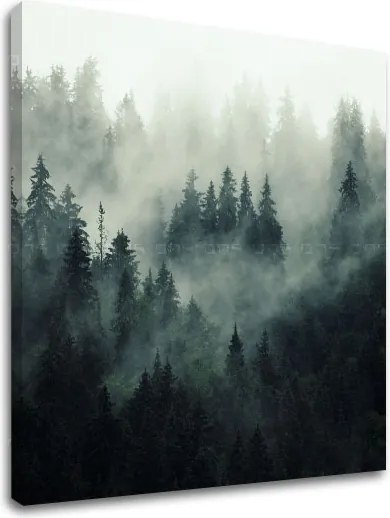 Obraz na stenu HORY_050-12