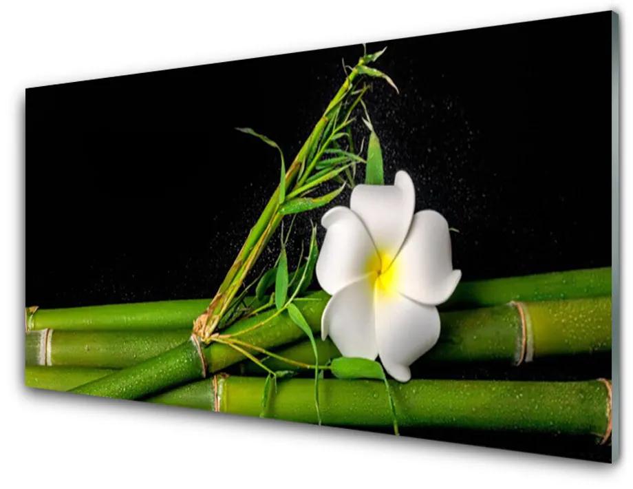 Obraz na skle Bambus kvet rastlina 120x60cm