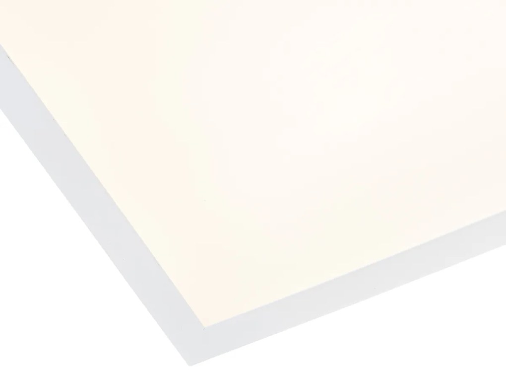 Zapustené LED panely biele obdĺžnikové vrátane LED 3000K - 6500K s prepínačom Dip - Seagal