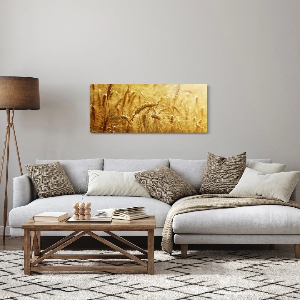 Obraz - Klasy obilia (120x50 cm)