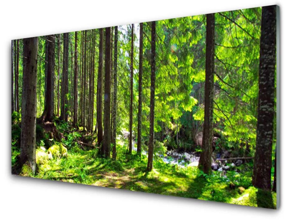 Skleneny obraz Les stromy rastlina príroda 120x60 cm