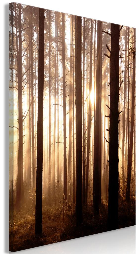 Artgeist Obraz - Forest Paths (1 Part) Vertical Veľkosť: 60x90, Verzia: Na talianskom plátne