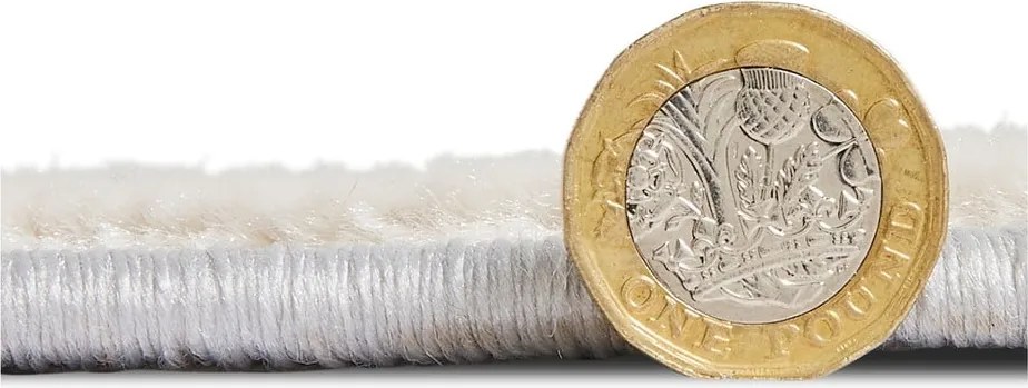 Sivý/béžový koberec 220x160 cm Apollo - Think Rugs