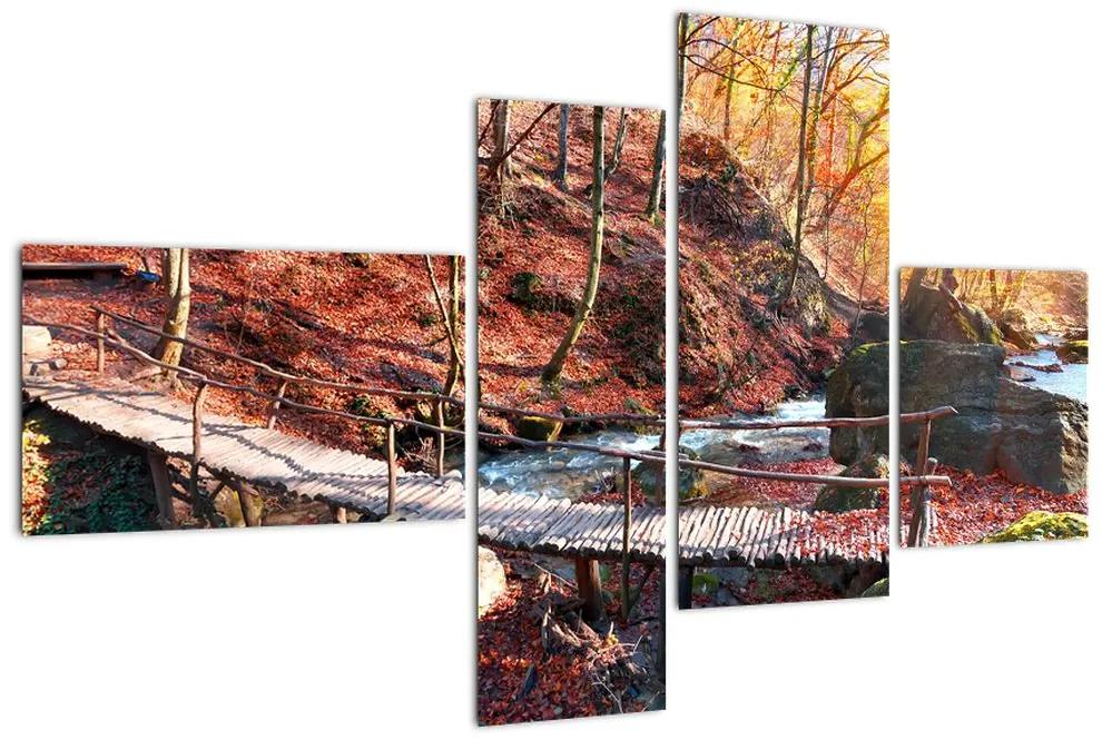 Obraz mosta - jesenné cesta lesom