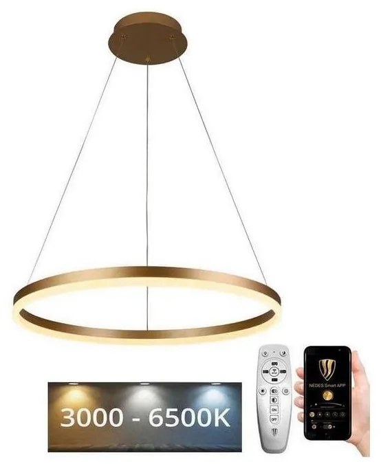 Brilagi - LED Stmievateľný luster na lanku CIRCLE LED/42W/230V 3000-6500K + DO