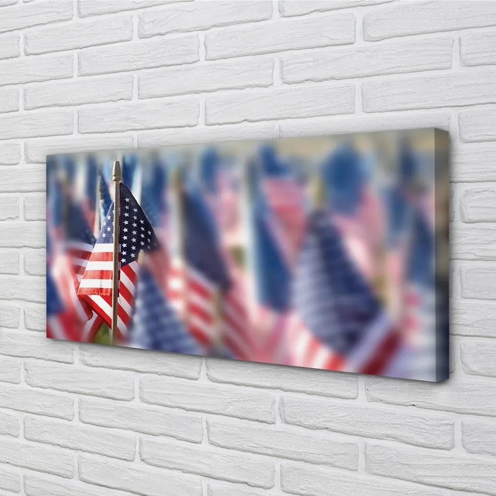 Obraz canvas Vlajky Spojených štátov 120x60 cm