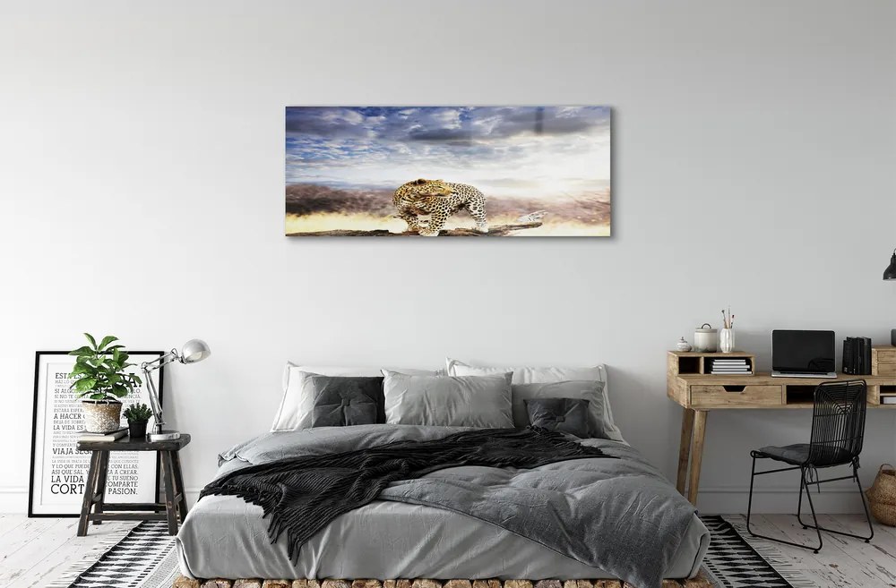 Obraz plexi Panter mraky 120x60 cm