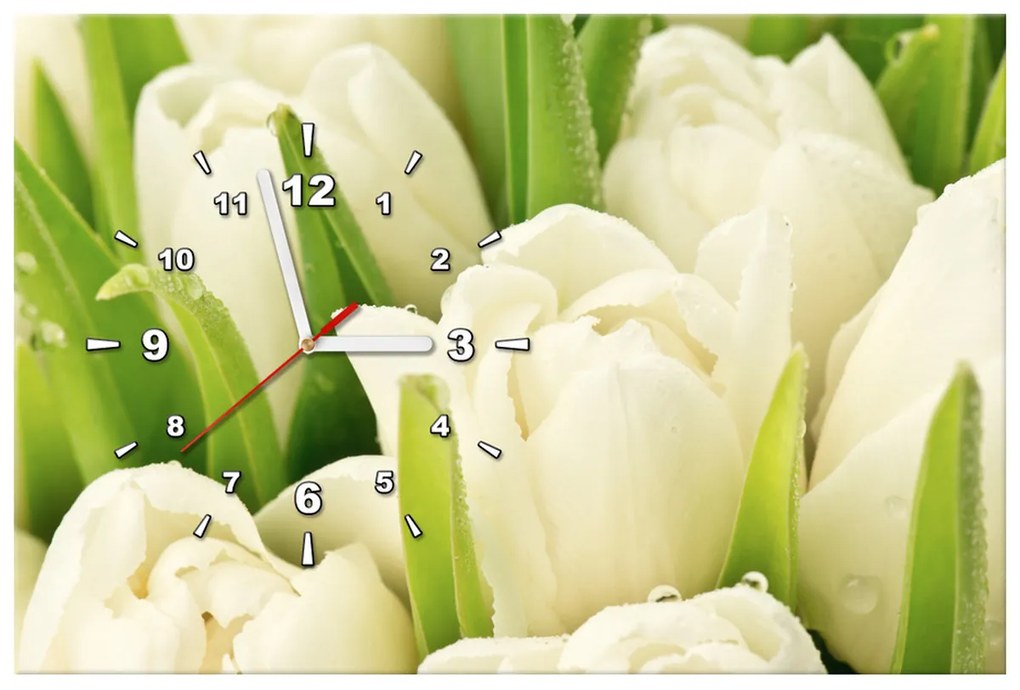 Gario Obraz s hodinami Jemné tulipány Rozmery: 60 x 40 cm