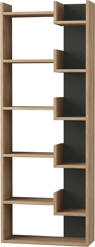 Moderná knižnica Houseland Oppa dub zafírový/čierna