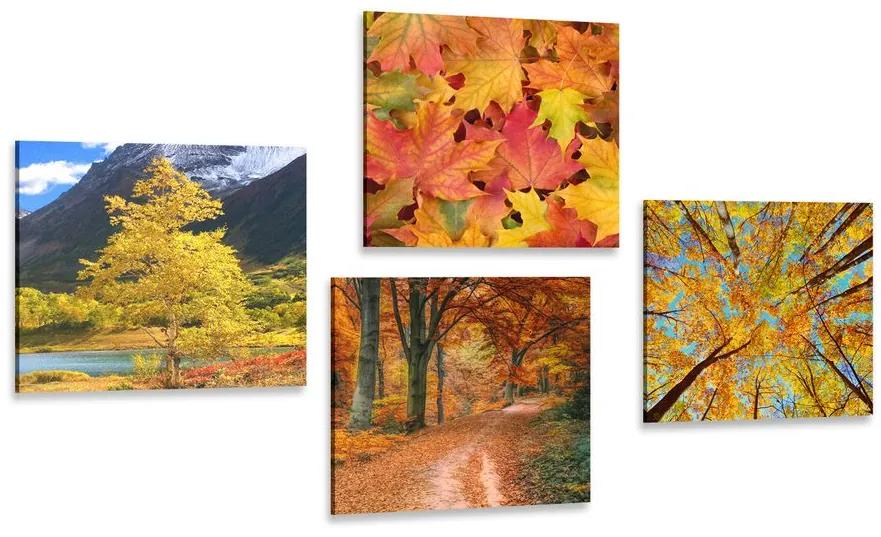Set obrazov jesenná príroda v nádherných farbách Varianta: 4x 40x40
