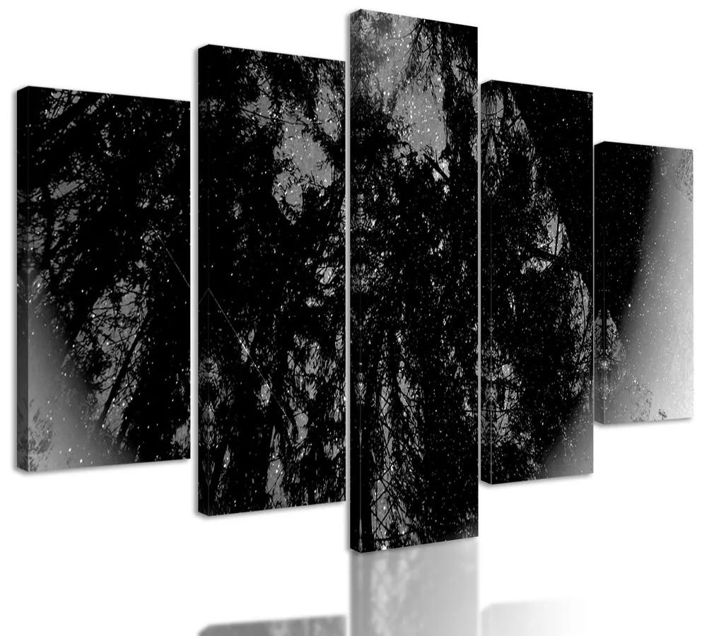 5-dielny obraz abstrakcia tropického lesa v čiernobielom prevedení
