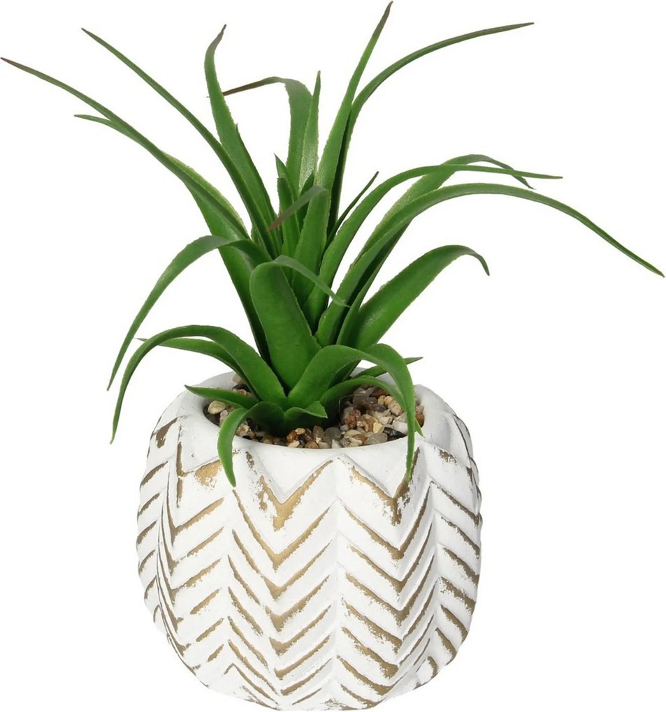 Dekorácie Aloes II 14cm
