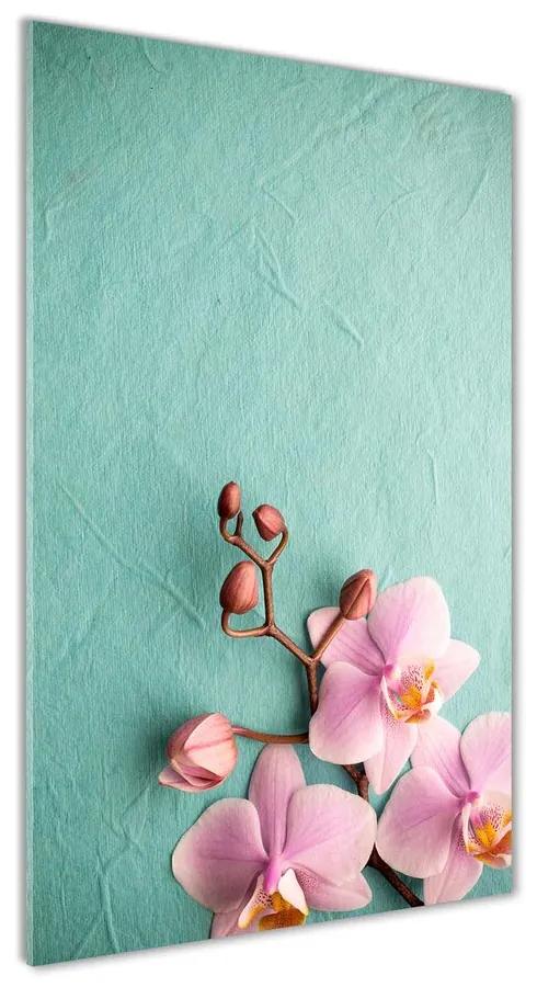 Foto obraz akrylové sklo Ružová orchidea pl-oa-70x140-f-102905480