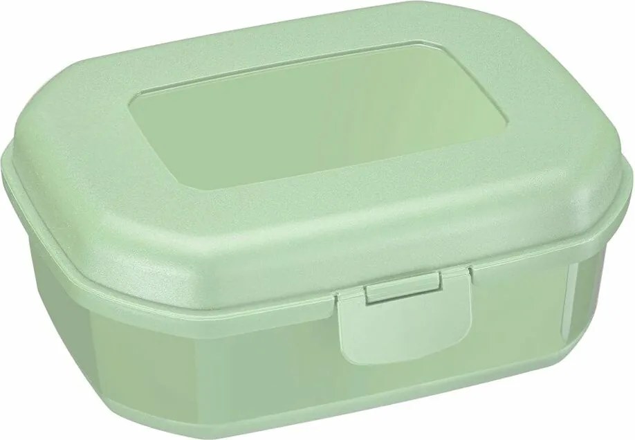 Westmark Box na desiatu MAXI, 935 ml, mätovo zelená, L