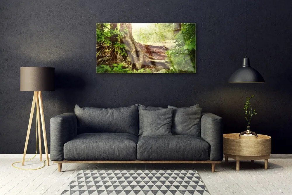 Skleneny obraz Strom kmeň príroda les 140x70 cm