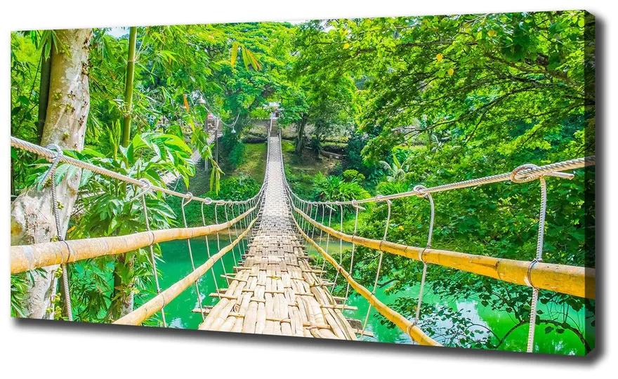 Foto obraz na plátne Most bambusový les pl-oc-140x70-f-64435231