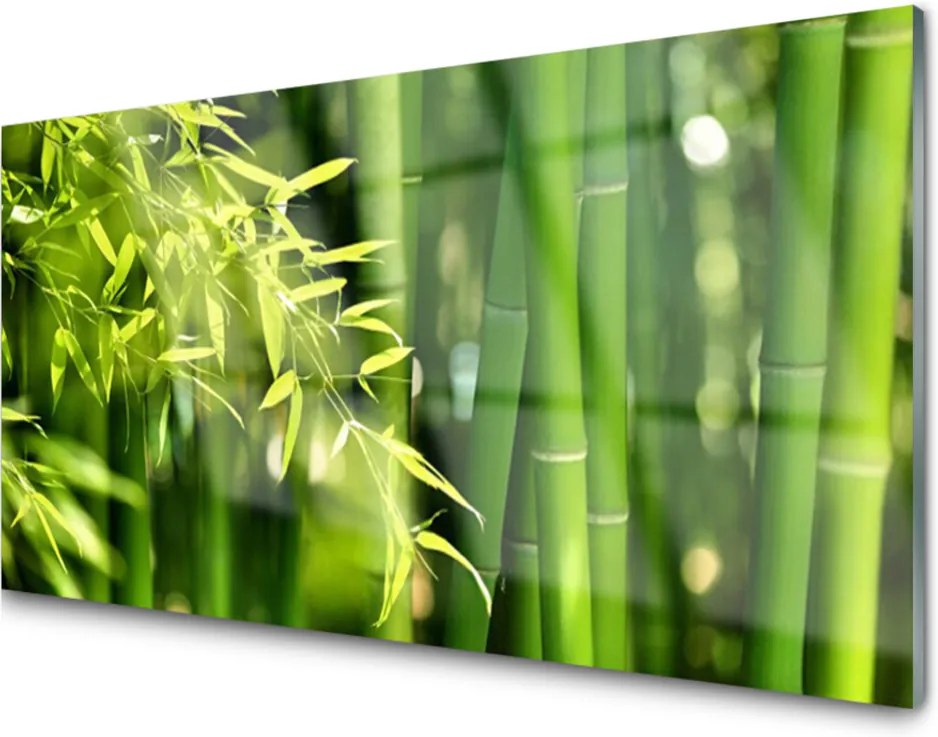 Skleněný obraz Bambus Listy Rastlina
