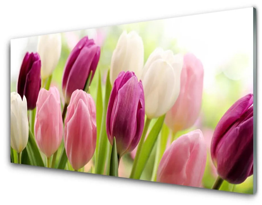 Sklenený obklad Do kuchyne Tulipány kvety príroda lúka 140x70cm