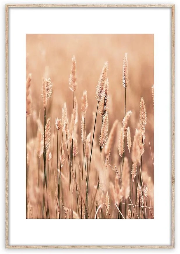 Artbox Digi 50x70 Ab079 Grasses II