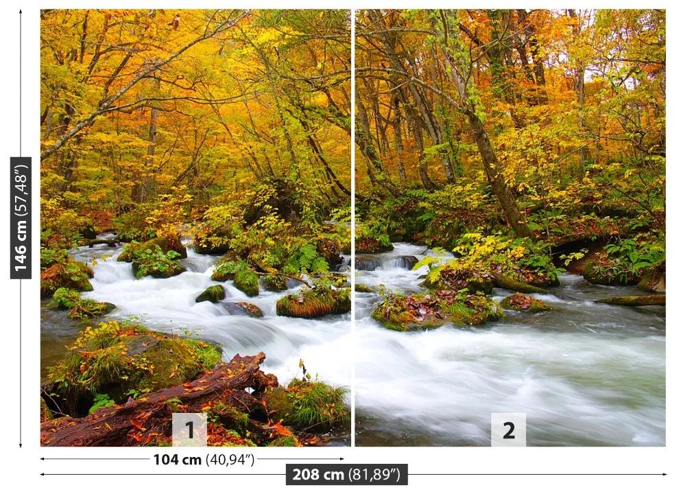 Fototapeta Vliesová Rieka v japonsku 104x70 cm