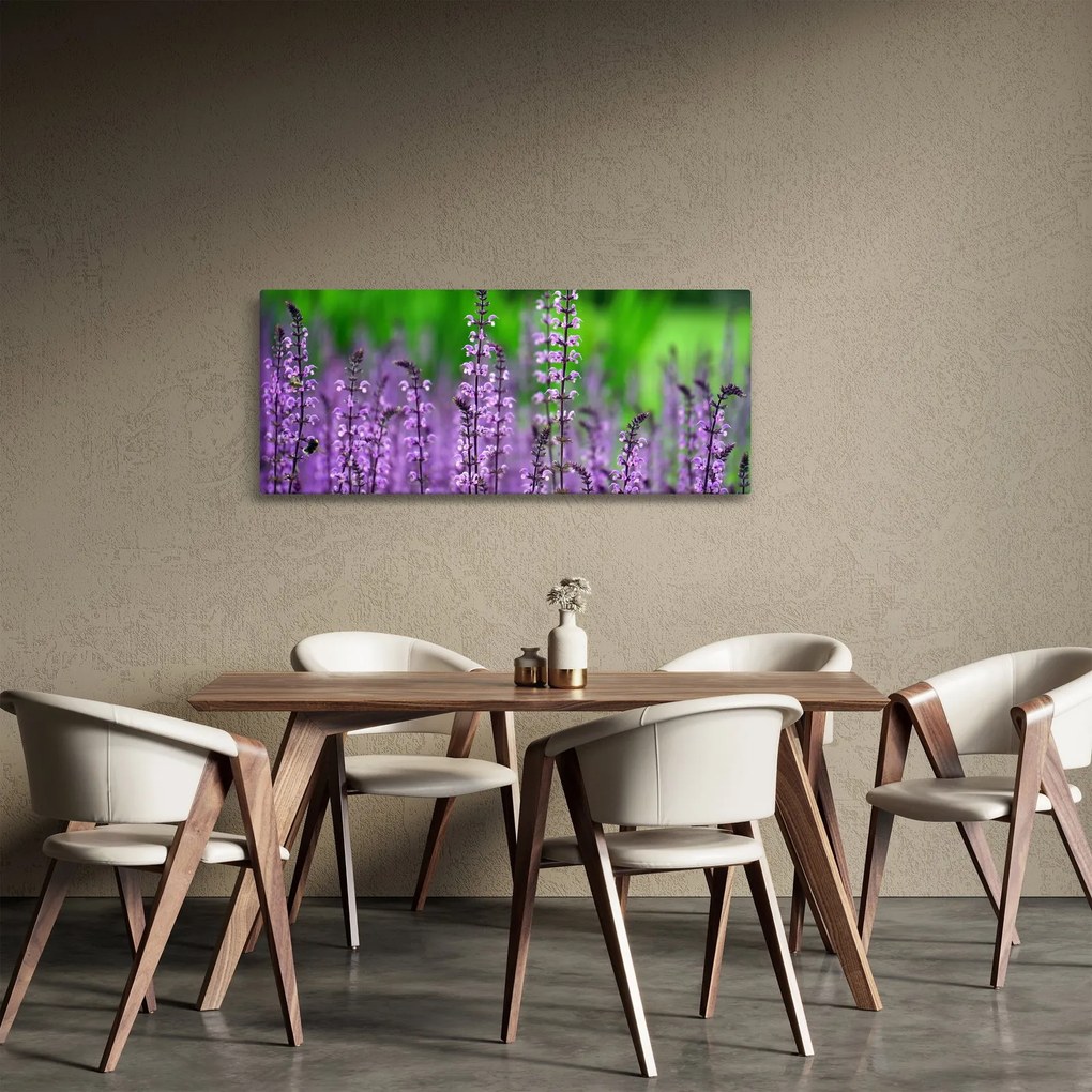Obraz fialových lúčnych kvetov (120x50 cm)