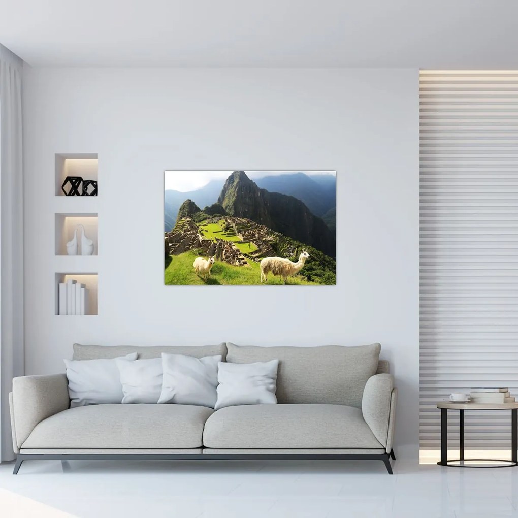 Obraz - Lamy v Machu Picchu (90x60 cm)