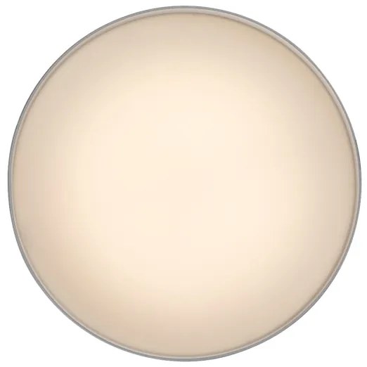 Rabalux 71325 - LED stropné svietidlo OVIDIA LED/24W/230V 3000K biela