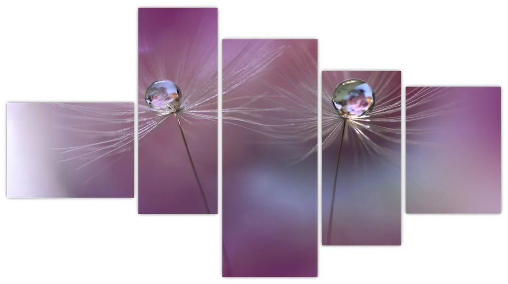 Obraz - kvet s kvapkami vody