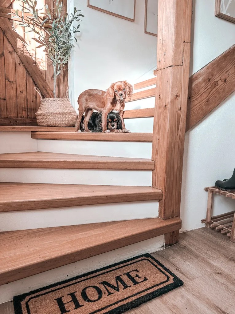 Hanse Home, Rohožka Home kokos 105678 – na von aj na doma, 27x70, hnedá, chodba / predsieň