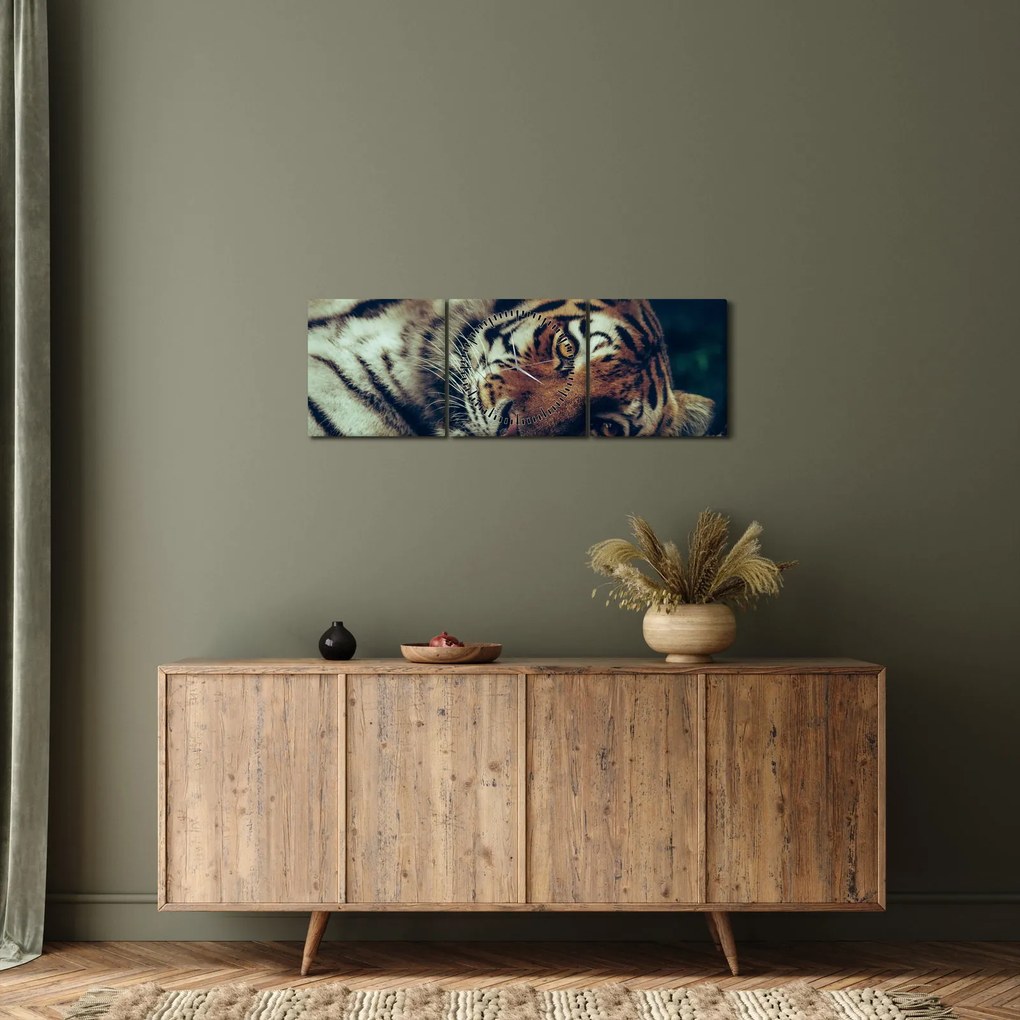 Obraz - Tiger Sibírsky (s hodinami) (90x30 cm)