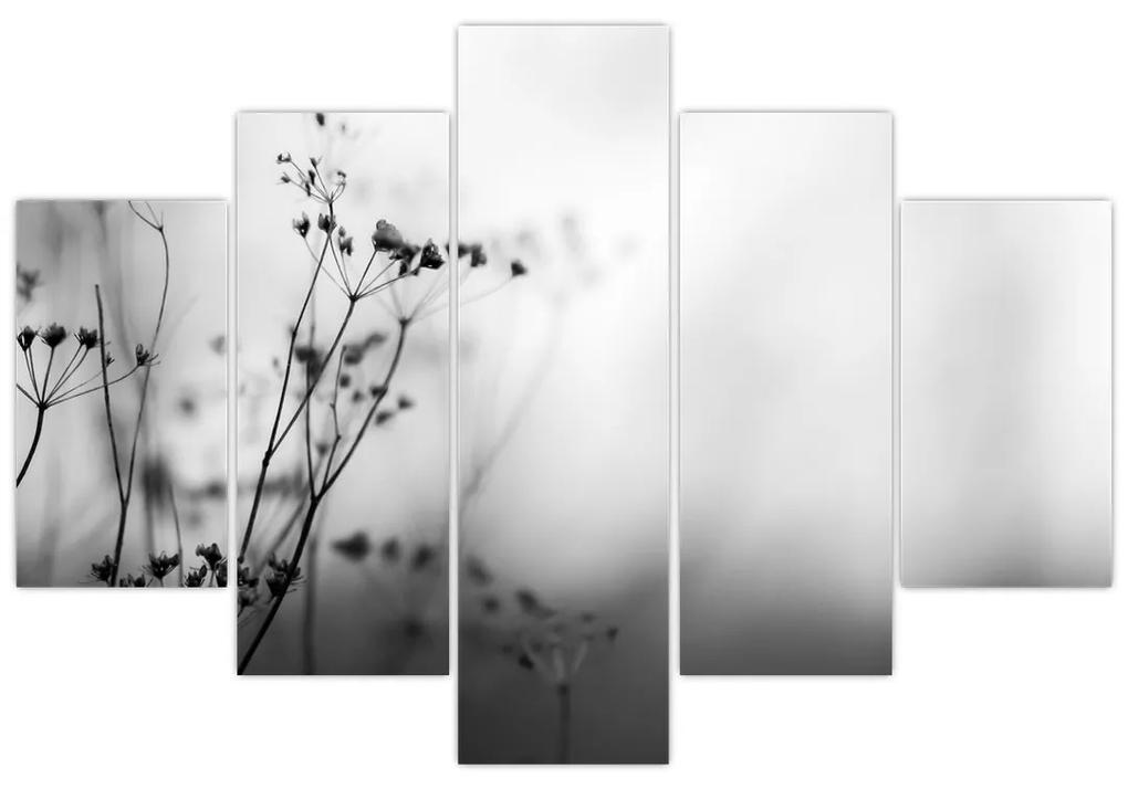 Obraz - Detail lúčnych kvetov (150x105 cm)