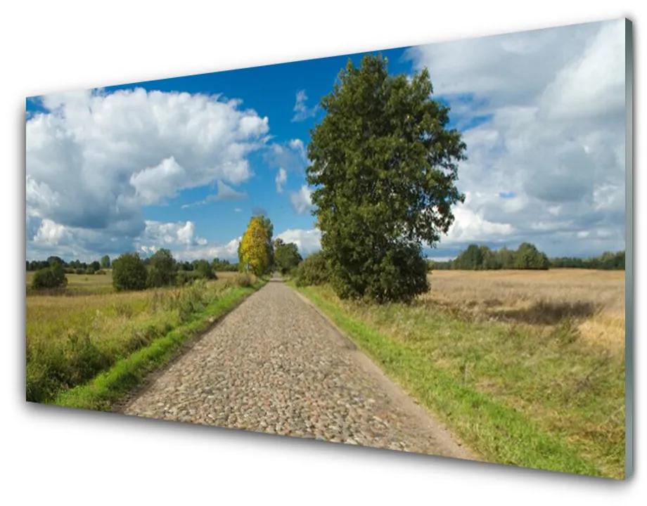 Obraz na akrylátovom skle Dedina cesta dlažba krajina 100x50 cm