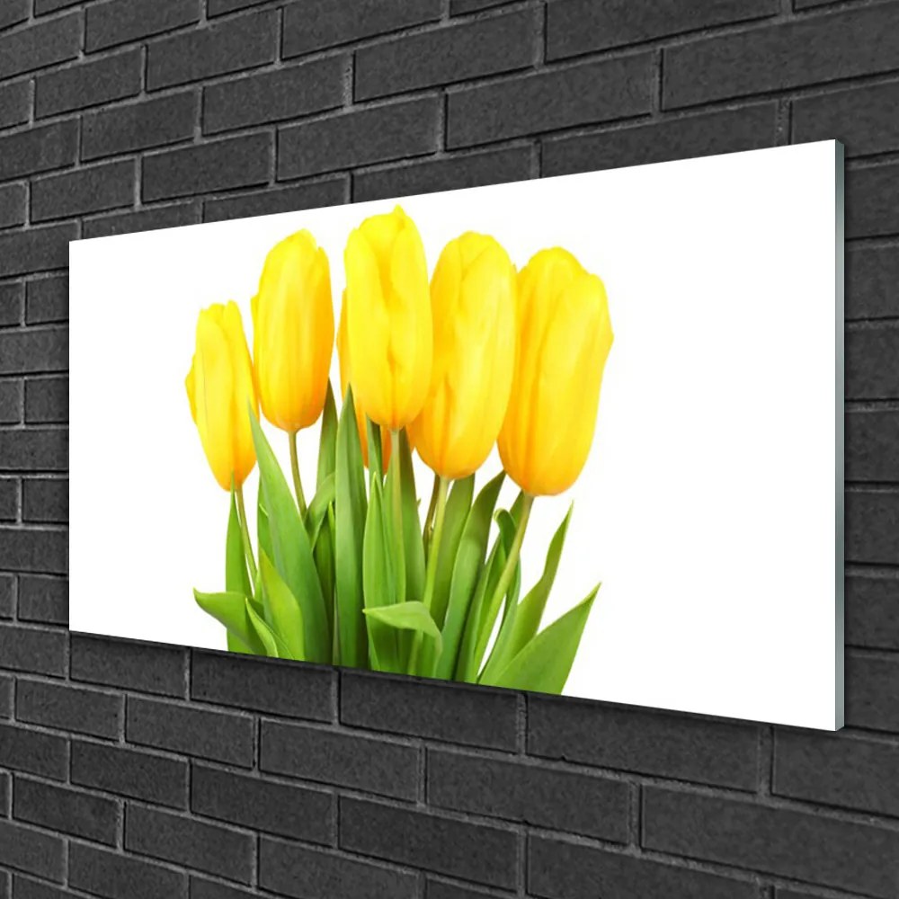 Skleneny obraz Tulipány kvety rastlina 100x50 cm 2 Prívesky