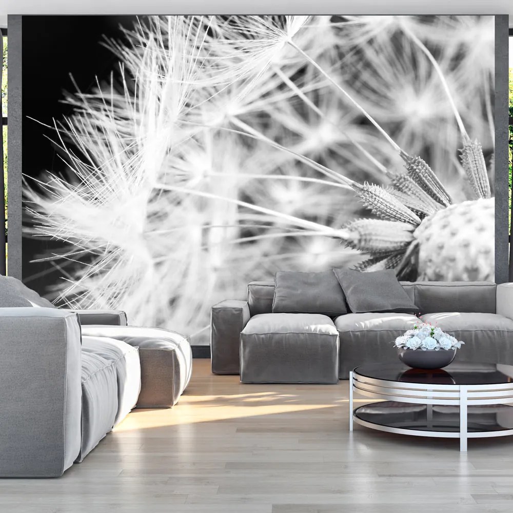 Artgeist Fototapeta - Black and white dandelion Veľkosť: 400x280, Verzia: Premium