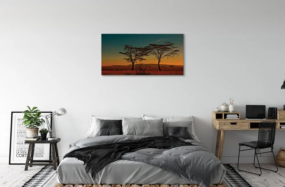 Obraz canvas oblohy stromu 120x60 cm
