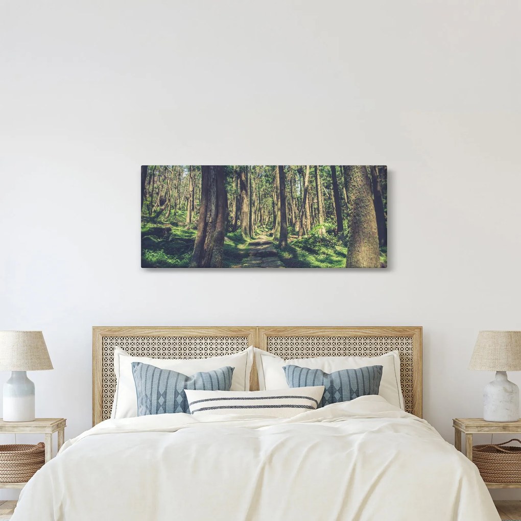 Obraz cesty medzi stromami (120x50 cm)