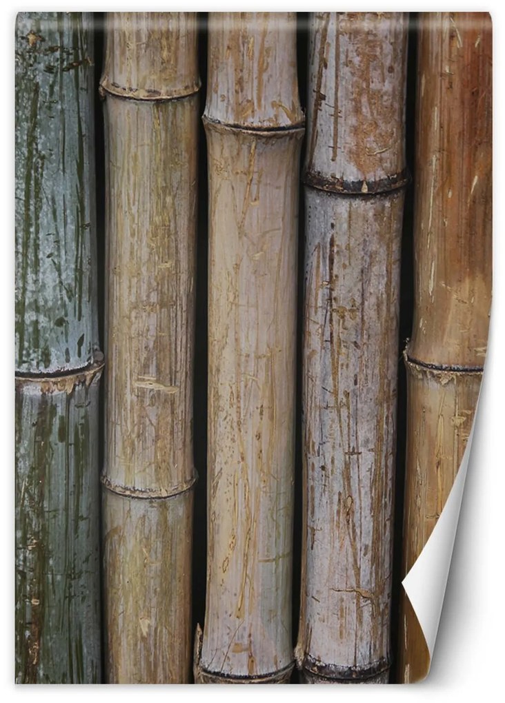 Gario Fototapeta Pastelové stonky bambusu Materiál: Vliesová, Rozmery: 200 x 280 cm